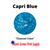 Screen Printing Ink Capri Blue